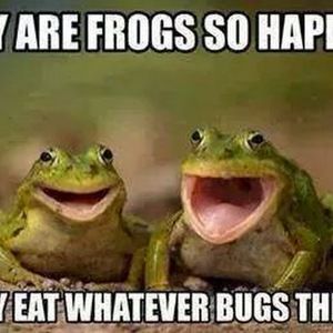 Meet your Posher, Anthony